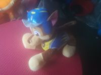 Paw Patrol Chase Plüschfigur XXL TOP ZUSTAND Niedersachsen - Schüttorf Vorschau