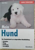 Hundebuch. Sachsen-Anhalt - Wolfen Vorschau
