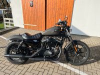 Harley Davidson Iron 883 Sportster Rheinland-Pfalz - Nauroth Vorschau