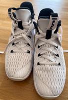 Nike LeBron Witness 5 Weiß Schwarz, Größe 42 Hessen - Bad Homburg Vorschau