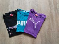 Puma Sport T-Shirt Rheinland-Pfalz - Polch Vorschau