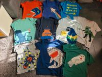 ☆T-Shirts Hai Dino Papagei Harry Potter Mini Boden 11-12Y 152☆ Hessen - Frielendorf Vorschau