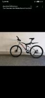 Lakes Mountainbike ca. 26 Zoll Bonn - Ippendorf Vorschau