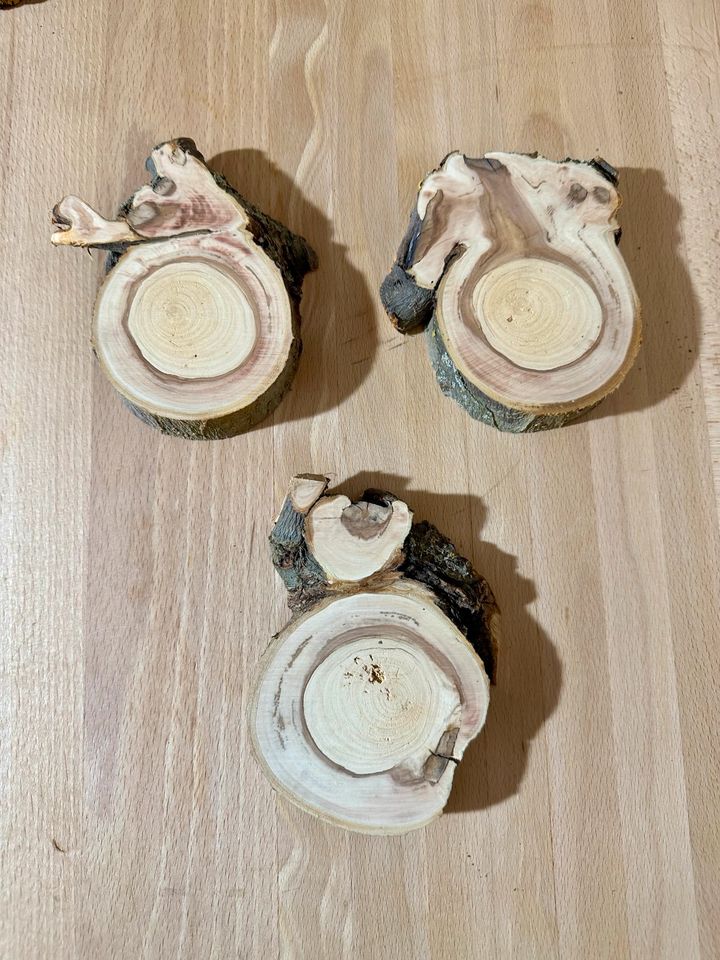 Apfelbaum Scheiben Baumscheiben Holzscheiben in Ehingen Mittelfr