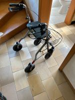 Rollator Drive Baden-Württemberg - Ebersbach an der Fils Vorschau