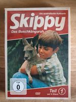 Kultfilm SKIPPY Das Buschkänguruh 4 DVDs  OVP Bayern - Hallstadt Vorschau