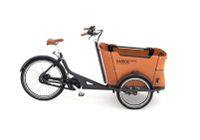 E-Bike Babboe Curve Mountain, Lastenfahrrad 500Wh Niedersachsen - Garrel Vorschau