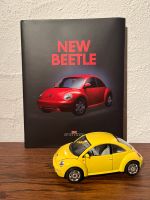 Buch New Beetle + Modell Brandenburg - Burg (Spreewald) Vorschau