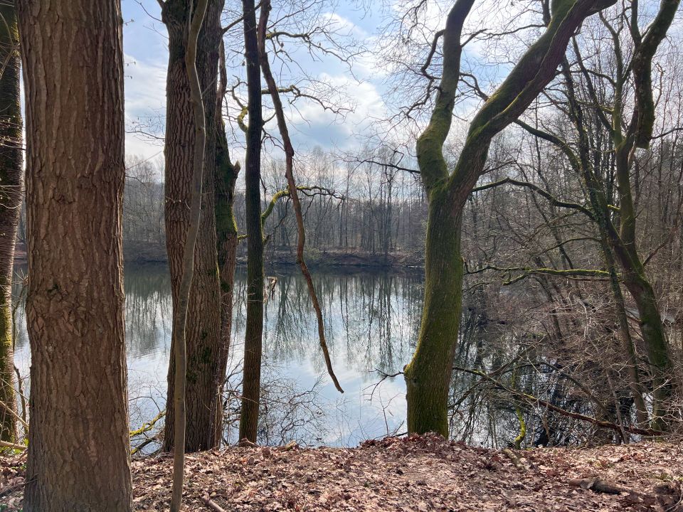 Haus am See mit Garten, Terrasse und Garage in Dörentrup