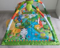 Fisher-Price Rainforest Erlebnisdecke Spielbogen Baden-Württemberg - Holzgerlingen Vorschau