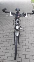 Herren Fahrrad 28 Zoll Brandenburg - Cottbus Vorschau