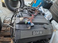 Kompletter E46 Motor  320 i von BMW Nordrhein-Westfalen - Marl Vorschau