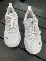Sportschuh PUMA Niedersachsen - Lingen (Ems) Vorschau