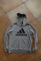 Jungen 10x Hoodies 158-176 + T-Shirt´s 170/176 Bayern - Wendelstein Vorschau