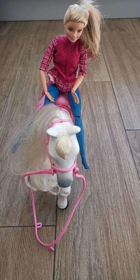 Barbie Pferd mit Barbie in Stralsund