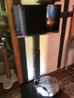 Panasonic TV Fernseher 60cm 28 Zoll auf Rollwagen Nordrhein-Westfalen - Ladbergen Vorschau