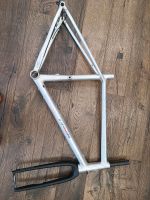 Liteville 4-one MK2 framekit Gr. XL works finish Gravel Bayern - Tacherting Vorschau