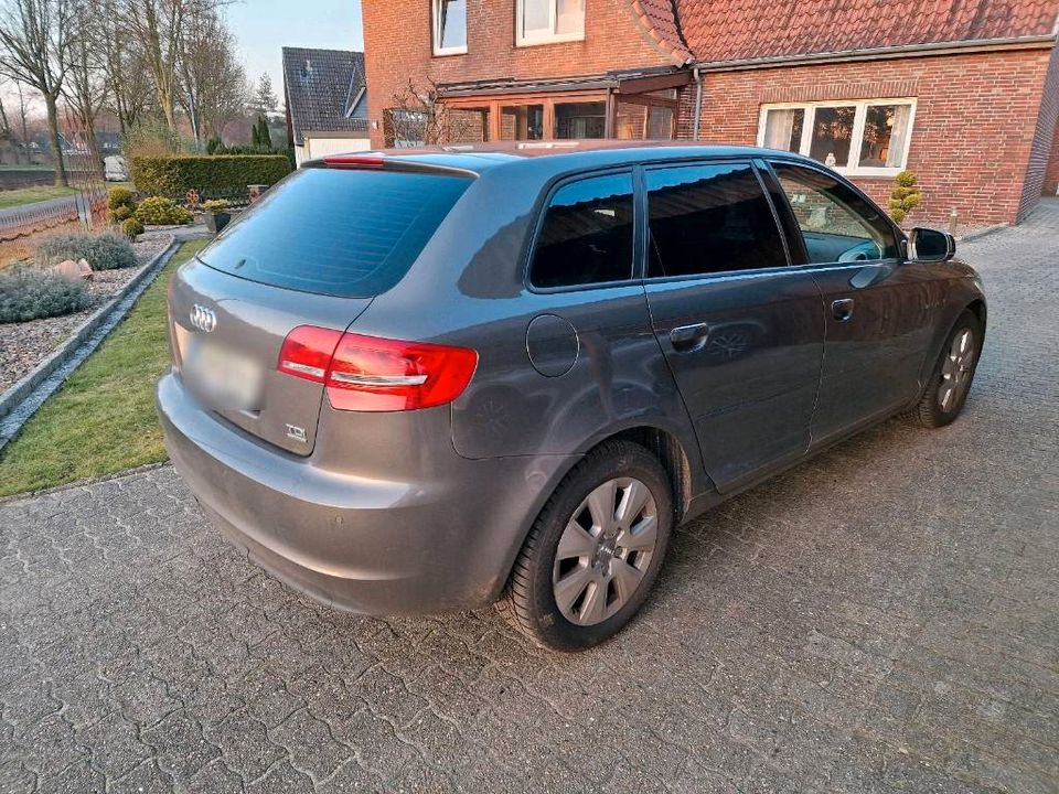 Audi A3 8P Sportback 2.0l Quattro in Zeven