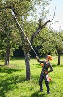 Hochentaster Akku Stihl HTA 135 für Baumpflege zur Miete Entaster Niedersachsen - Uetze Vorschau