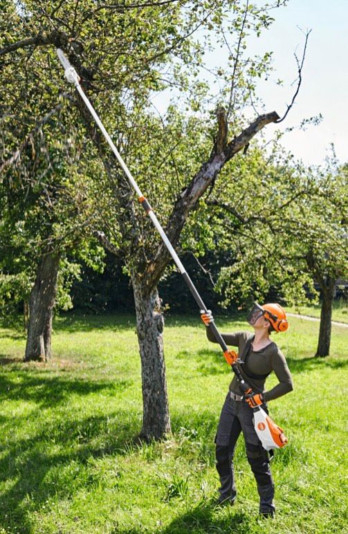 Hochentaster Akku Stihl HTA 135 für Baumpflege zur Miete Entaster in Uetze