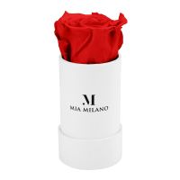 Mia Milano Rosenbox mit einer Infinity Rose * Neu Valetinstag Baden-Württemberg - Heidelberg Vorschau