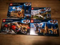 LEGO Harry Potter EOL Sammlung - 75953 75954 75955 75958 Baden-Württemberg - Straubenhardt Vorschau