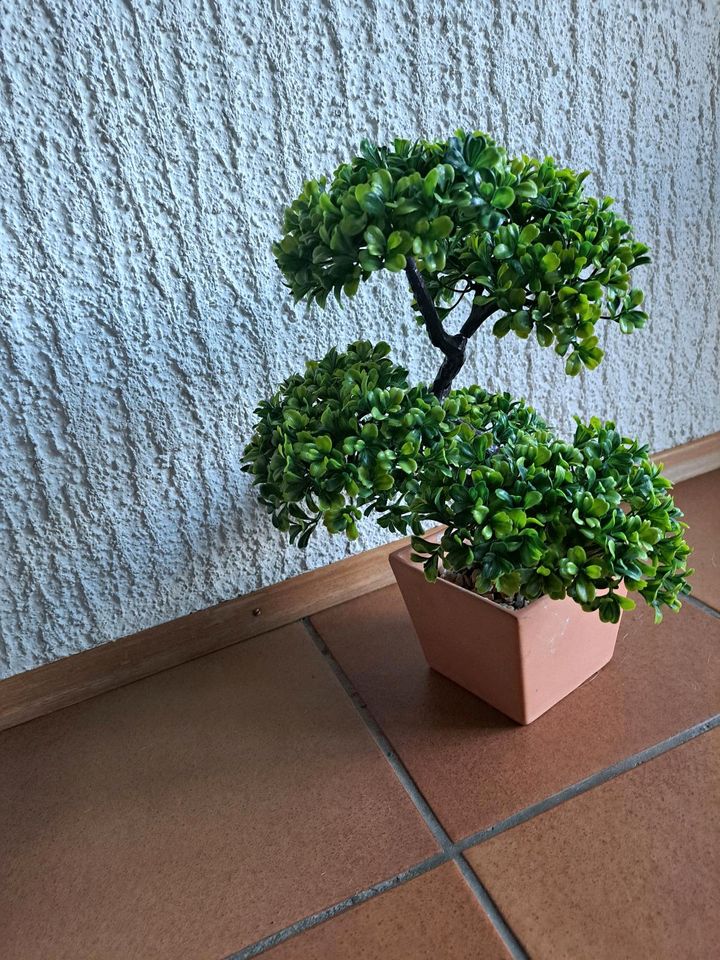 künstliches Bonsai Bäumchen Höhe 40 cm in Mannheim