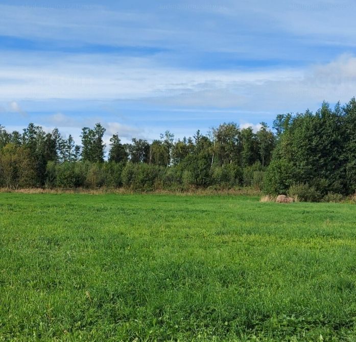 Baugrundstück nur 2,7 km von der Ostsee in Lettland in Bissendorf