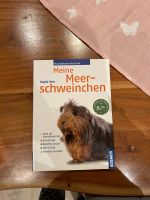 Mein Meerschweinchen Nordrhein-Westfalen - Velbert Vorschau