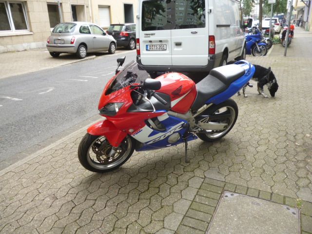 Honda CBR 600 F in Düsseldorf