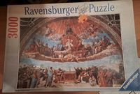 Ravensburger Puzzle 3000 Teile Baden-Württemberg - Walheim Vorschau