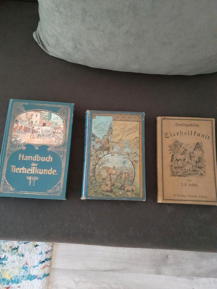 Konvolut alte Bücher in Plauen