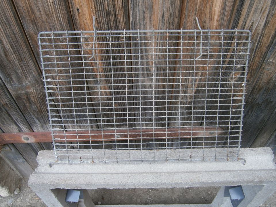 Kellerfenster, Stallfenster 0,59 x 0,44 Beton mit Scheibe Gitter in Lucka