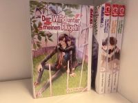 Manga „Der Wind unter meinen Flügeln“ 1-4 komplett Duisburg - Walsum Vorschau