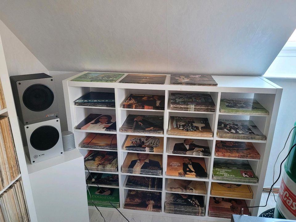 Schallplatten Hobby Raum in Burgstädt