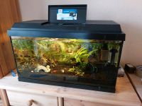 Aquarium 60 l von JPL Thüringen - Frankenblick Vorschau