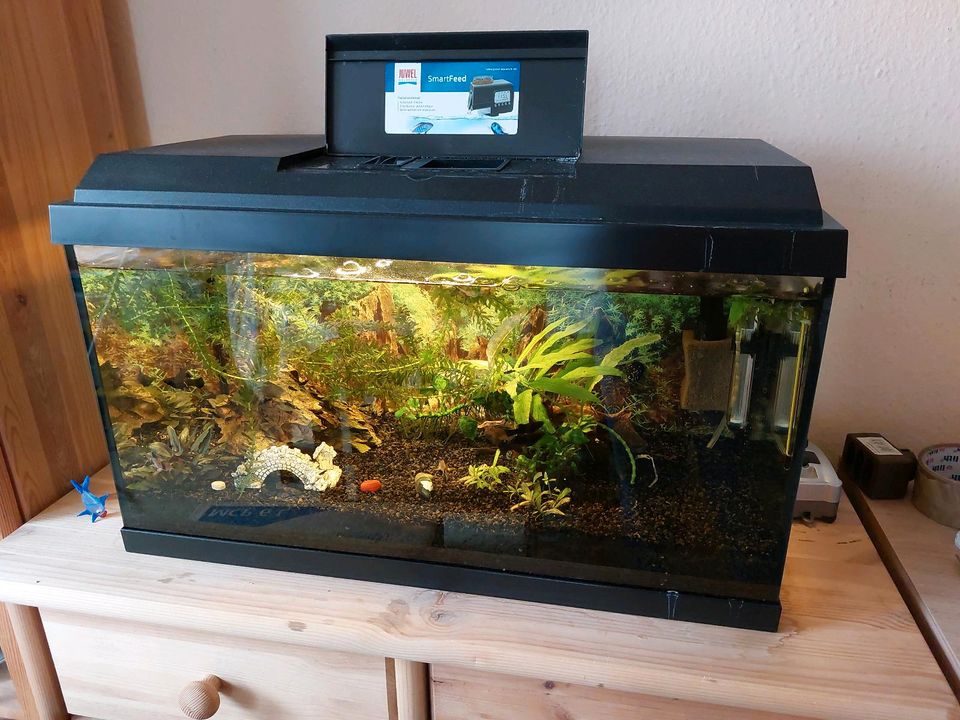 Aquarium 60 l von JPL in Frankenblick