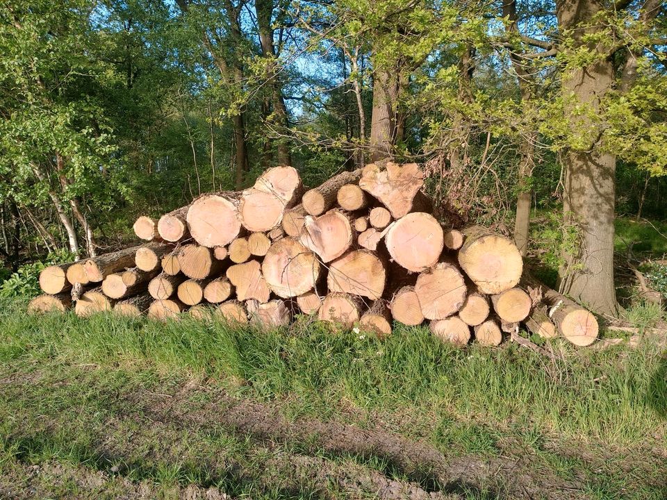 Brennholz 45cm für Vergaser, Laubholz in Barnstorf