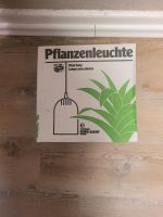2 Pflanzenhängeleuchten Frankfurt am Main - Sachsenhausen Vorschau