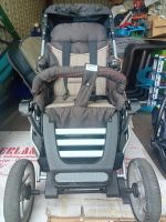 Teutomia Kinderwagen Rheinland-Pfalz - Mainz Vorschau