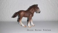 Schleichpferd Shire Horse Fohlen Schleich Kiel - Meimersdorf-Moorsee Vorschau