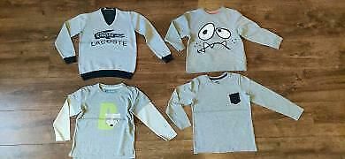 15 Pullover/Langarmshirts Junge 110/116 in Pulsnitz