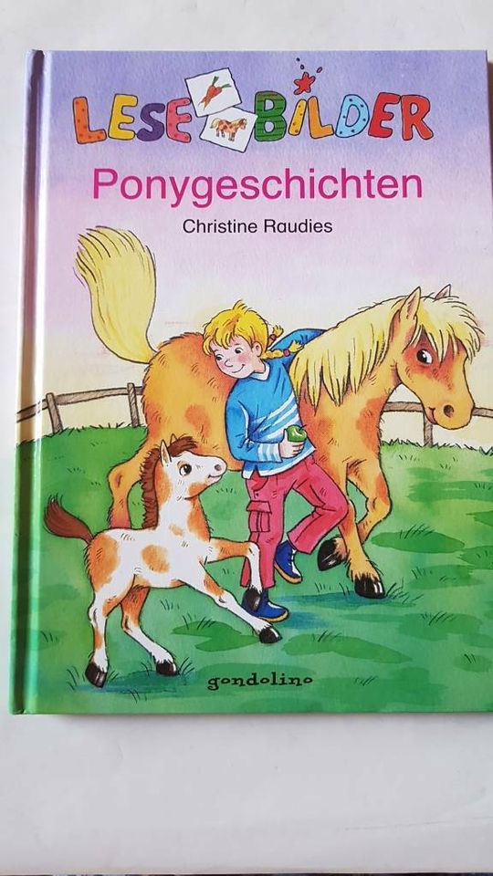 LESEBILDER - Ponygeschichten - Christine Raudies - godolino in Schierling