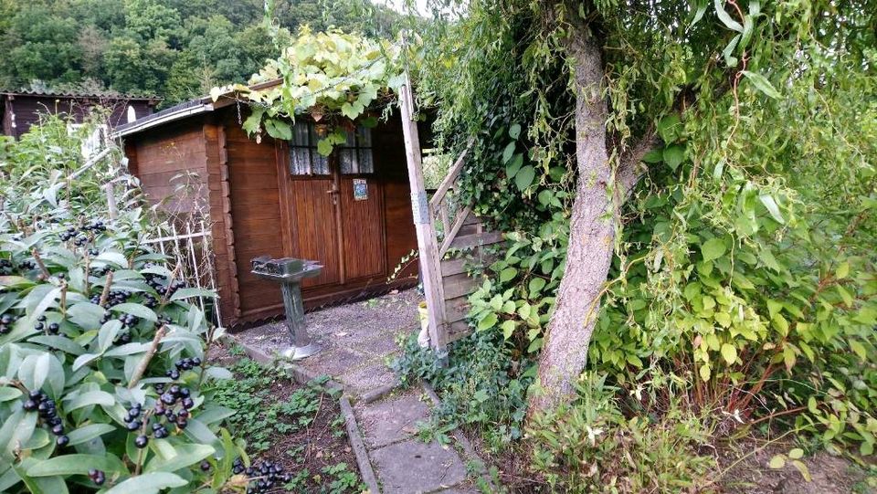 Pachtgarten in Seebach in Thüringen Eisenach Grundstück & Garten
