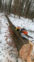 Baumfällung Nordrhein-Westfalen - Lippetal Vorschau