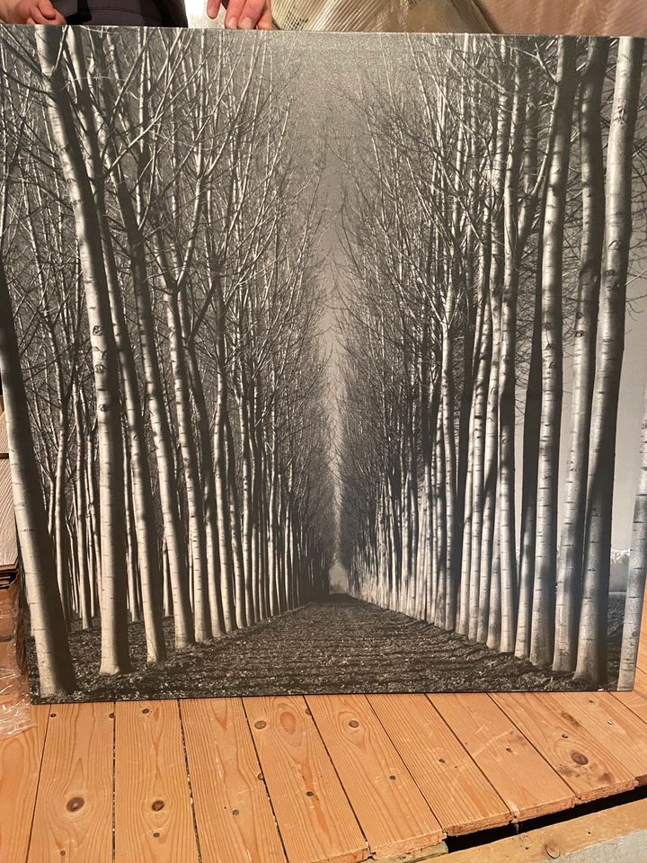 Ikea Bild schwarz weiß 90x90cm in Friedrichskoog