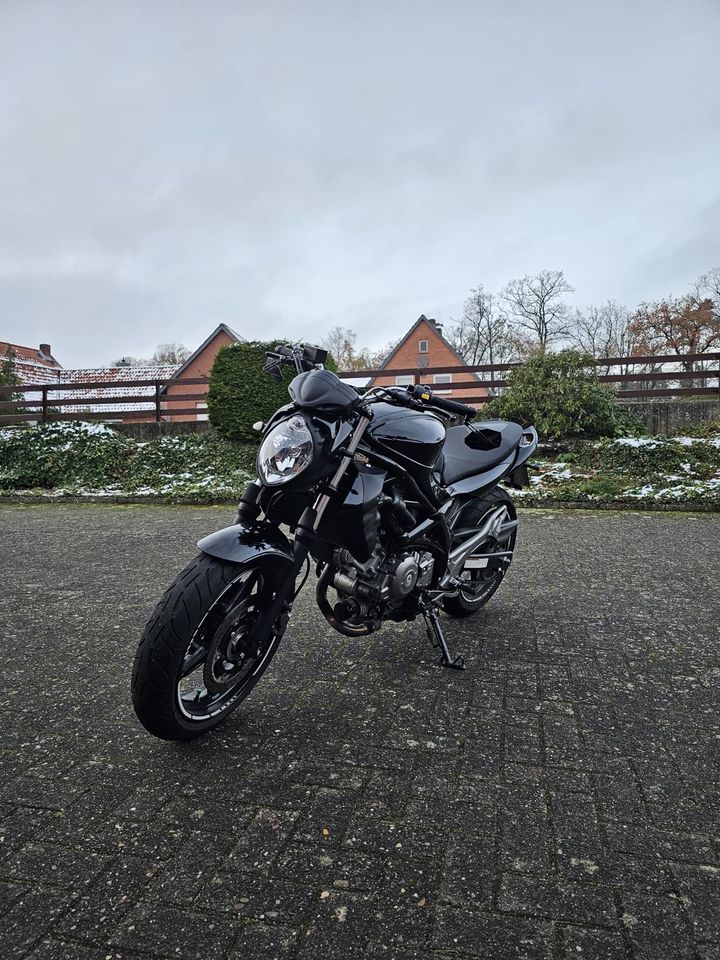 Suzuki Gladius SFV 650 mit ABS in Nienburg (Weser)