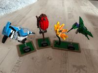 Lego Vögel Wildvögel Birds 21301 Schleswig-Holstein - Henstedt-Ulzburg Vorschau