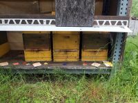 Bienenvolk  Carnica auf Zander Bayern - Burgkunstadt Vorschau