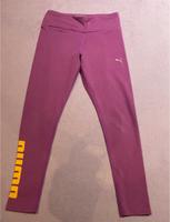 Puma Sporthose Größe XS/34 lila Hessen - Hofheim am Taunus Vorschau